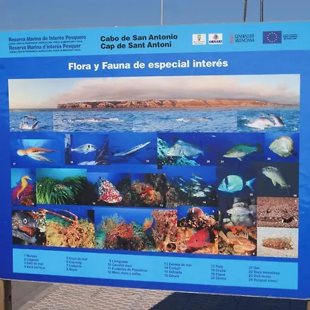 Apartament Marinas Ii En *
